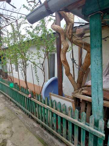Погранична вул. (Чигрина), 95
