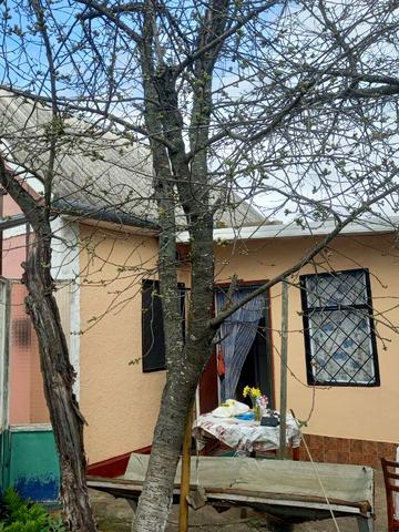 Виноградна, 123