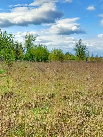 Нова пошта, Білогородка, Бучанський, Київська область 25000 USD