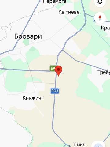 Требухів, Броварський, Київська область 3200000 USD