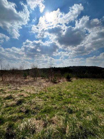 Липники, Львівський, Львівська область 22500 USD