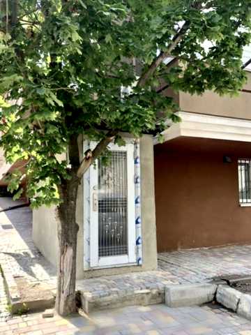 Миру просп. (Леніна), 1