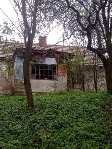 головна
