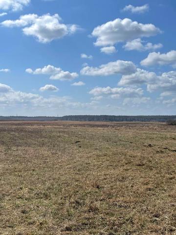Литвинівка, Вишгородський, Київська область 6600 USD