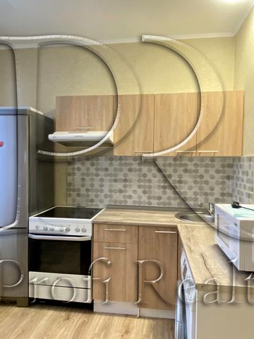 Олени Пчілки вул., 2