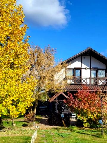 Центральна вул.