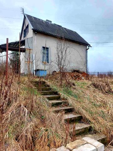 Зелена