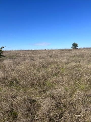 Овідіополь, Одеський, Одеська область 5000 USD