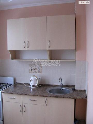 Петра Свинаренка вул., 7