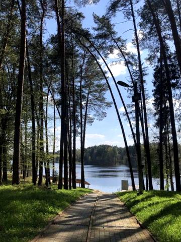 Лебедівка, Вишгородський, Київська область 750000 USD