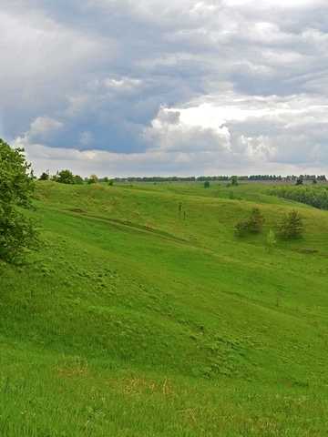 Гайдара