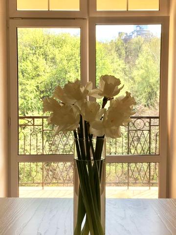 Дегтярна вул., 19