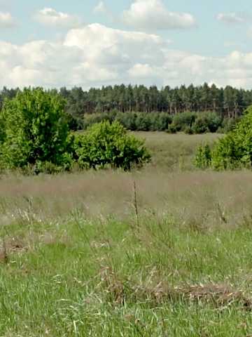 Квітква, 4