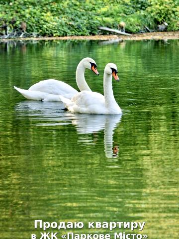 Вишгородська вул., 45/4