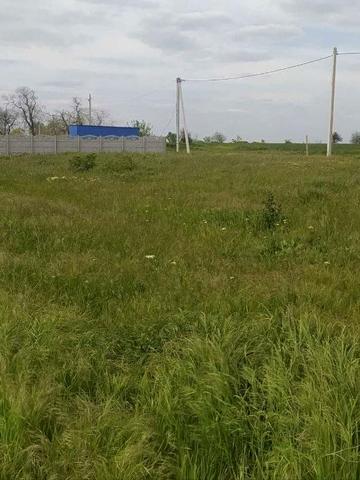Дачна вул.