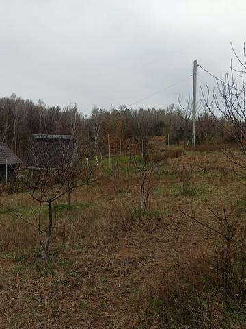 Княжа вул. (Колгоспна)