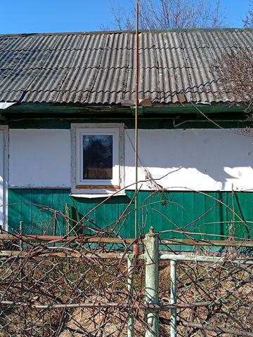 Гонти