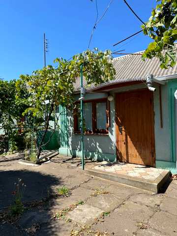 Олександра Пацара, 44