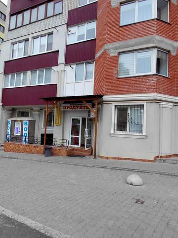Володимира Великого вул., 9