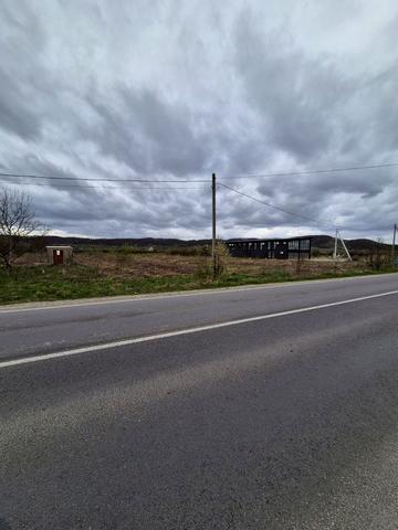 Солотвино, Тячівський, Закарпатська область 615000 USD
