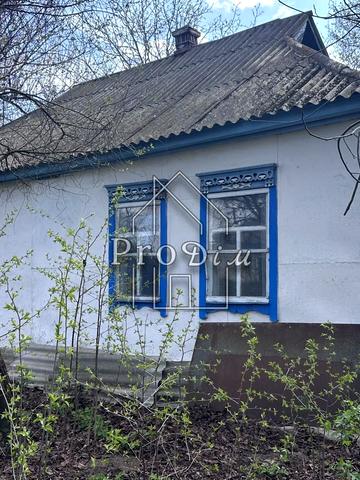 Ярослава Мудрого