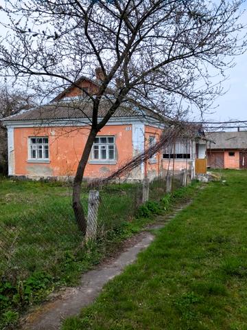 Данила Галицького, 56