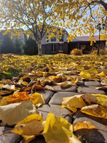 Незалежності вул. (Титова)