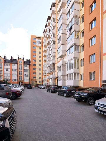 Гайдамацька вул. (Марфи Струтинської), 13-Б