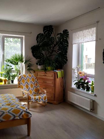 Павла Лі пров. (Московський), 2-А