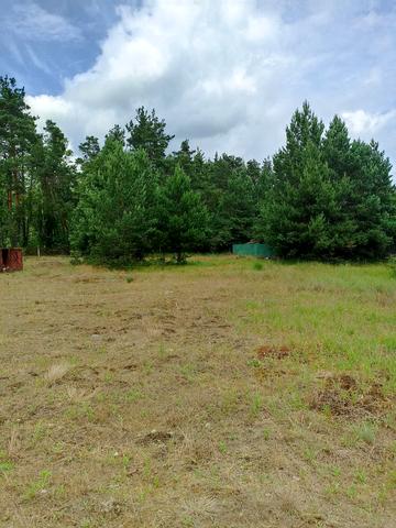 Вища Дубечня, Вишгородський, Київська область 6000 USD