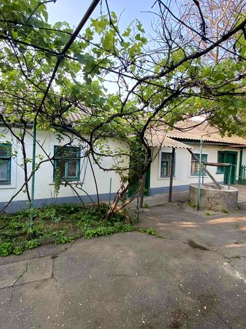 Оранжерейна вул., 62