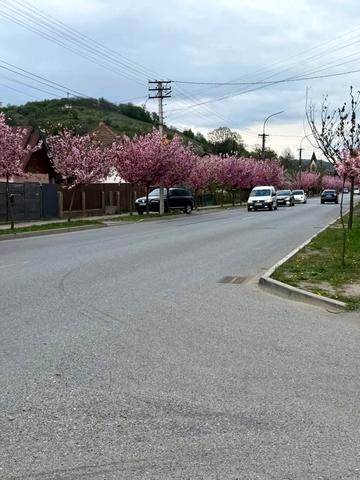 Світанкова вул. (Горького), 18