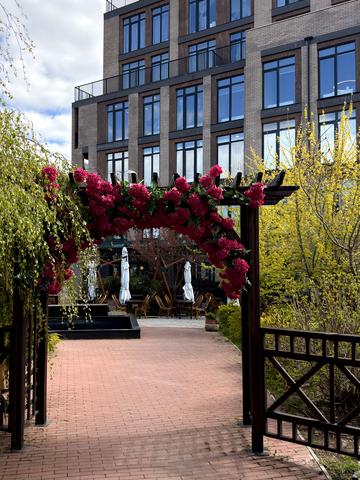 Дмитріївська вул. (Дмитрія Донського), 59/1