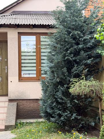 Віталія Постолакі пл., 3
