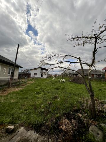 Брукована, 47
