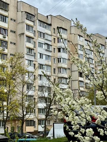 Прилужна вул., 10