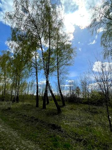 Хмільник, Хмільницький, Вінницька область 14000 USD