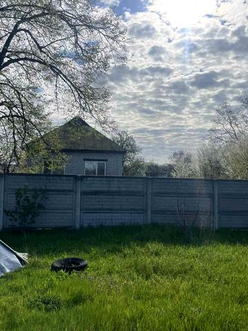 Олександра Гольца, 43