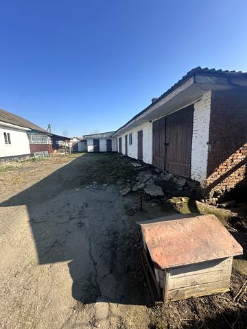 Травнева