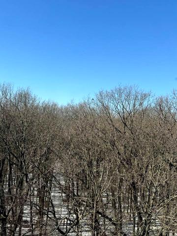 Праведників Світу вул., (Будинок 9)