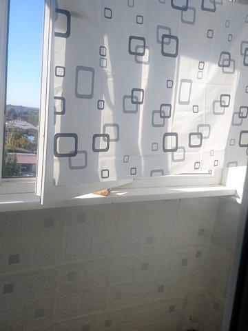 Олега Антонова вул. (Карла Маркса), 19а