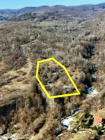 Верхнє Синьовидне, Стрийський, Львівська область 60000 USD