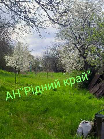 Волонтерська вул. (Кінноармійська), 84