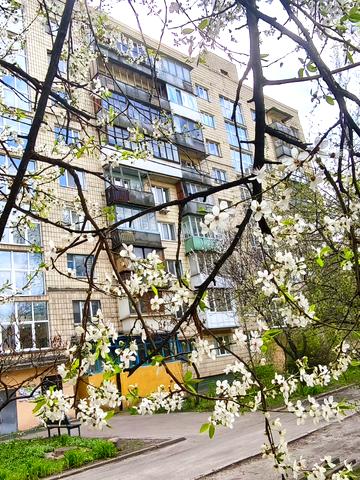Івана Дзюби вул. (Сімї Сосніних), 2-А