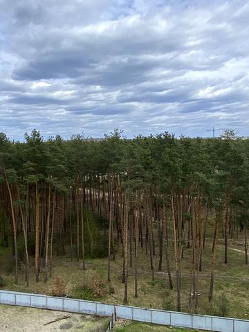 Університетська вул., 1-Б