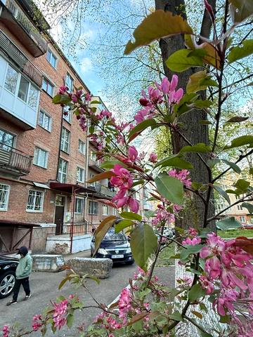 Генерала Безручка вул., 12