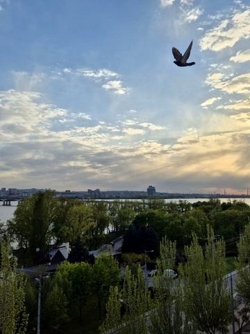 Сонячна Набережна вул. (Маршала Малиновського), 6
