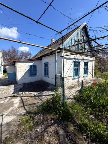Центральна