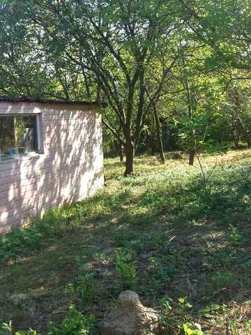 Новосілки, Фастівський, Київська область 7500 USD