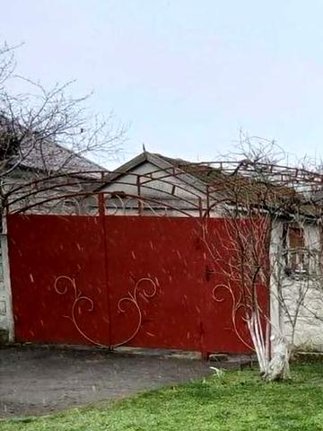 Виноградна, 5